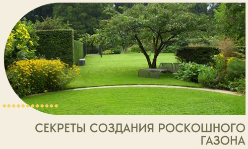 Секреты создания роскошного газона в Мелеузе