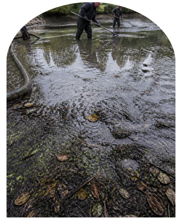Очистка пруда в Мелеузе от ила мусора и водорослей с вывозом